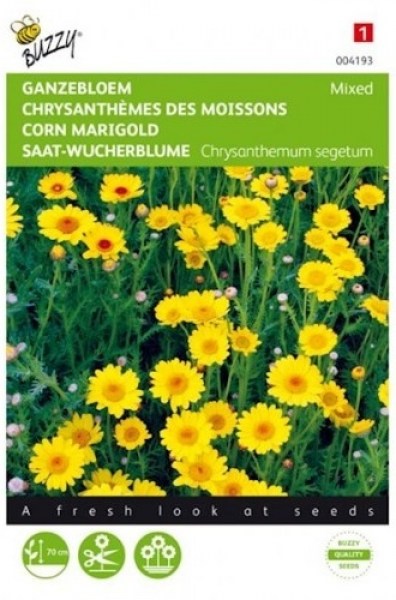 004193 Marigold yellow sahdes_500x500